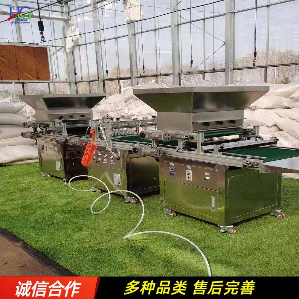 全自动穴盘育苗播种机自动光电感应检测育苗机播种育苗一体机