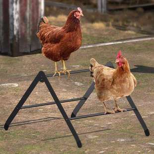 跨境鸡舍的特大号鸡栖息支架鸡的重型金属栖息条用于可调节鸡栖息