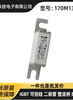 原装陶瓷熔断器 保险丝 170M6162 170M6163 170M6164 170M6165