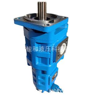 02010 JHP3160 XF右键 载机齿轮油泵 厂家供应临工968V装