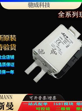巴斯曼170M5929 170M5930 170M5931 加工制作量大价优 方体熔断器