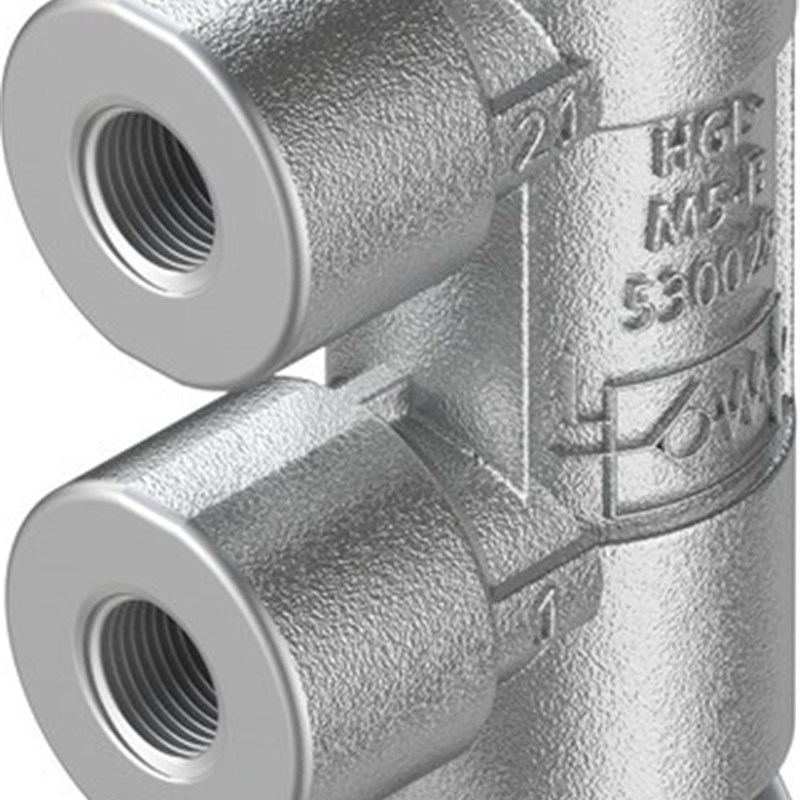 FESTaO 单向阀 止回阀 HGL-M5-1/8-1/4-3/8-1/2-QS-4-6-8-10-12-B