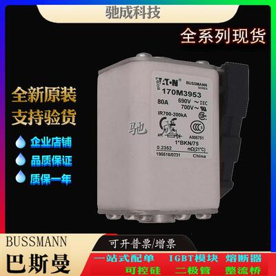 巴斯曼170M3952 170M3953 170M3954 厂家直供价优 低压熔断器