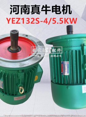 48-三相异步电动机WZ507.5/电机//2.2.真/3.0 Y.牛E1.5转子锥形/K