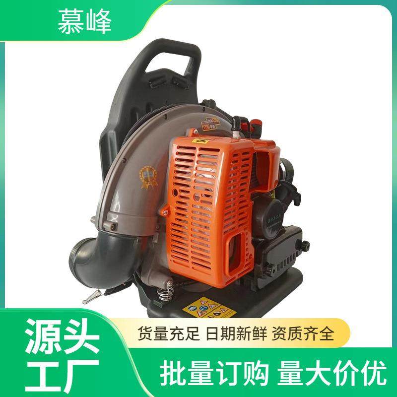 背负式二冲程风力灭火机大功率汽油吹风机吹雪机养护吹尘落叶,鲜花速递/花卉仿真/绿植园艺,割草机/草坪机,淘宝优惠券,粉丝福利购,淘宝优惠卷