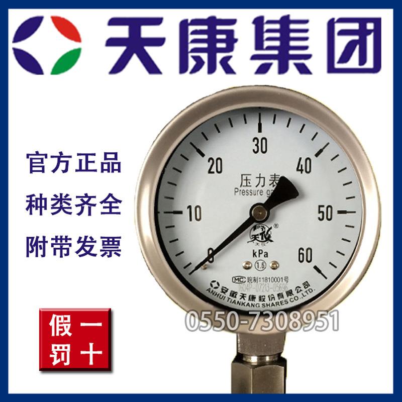 安徽天康集团厂价直销YN-100B不锈钢耐震压力表