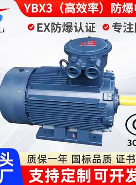 隔爆三相异步电机YBX3-225S-4/37KW YB2 YB3 立式 卧式 防爆电机