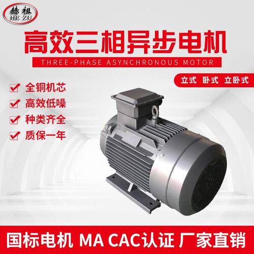 九派通YX3-200L1-6三相异步电动机 专业三相异步电动机节能