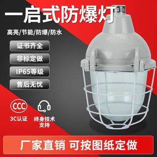 防爆灯壳 一开启防爆灯 一启式 db-125