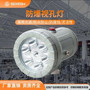 防爆视孔灯LED防爆反应釜灯照明灯BSD视镜灯5W10W延时探照灯24V22