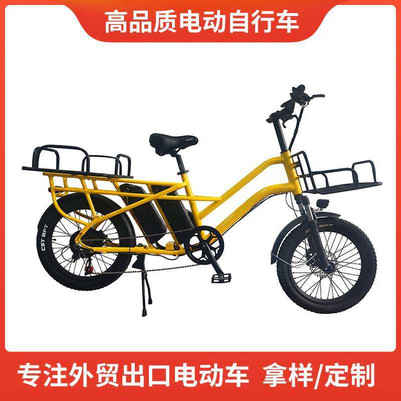 厂家直供20寸铝合金电动自行车碟刹双锂电池送餐载货代步跨境货源