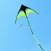 大型微老卖店三角草潍坊风筝鸟风筝飞好原 低价翠风伞大布热 包邮