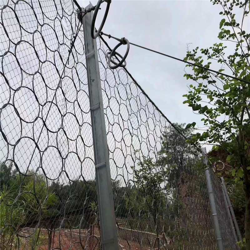 PPS-100DB/A被动柔性防护网  PPS-200型被动网 张口式引导防护网