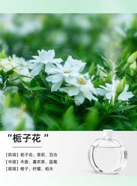 【植萃香薰】mx37智能香氛机精油