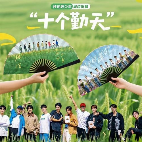 十个勤天应援扇子周边物料折叠定制折扇种地吧少年绢W布搞笑综艺