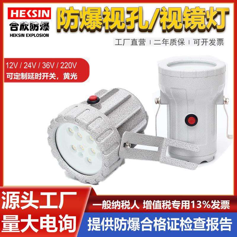 LED视孔灯5W20W防爆内视灯AC220v24v36V化学反应釜视镜灯三防灯