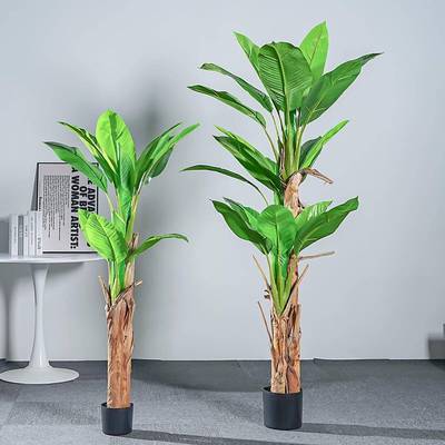 芭蕉树芭蕉叶仿真绿植盆栽室内客厅大型落地装饰植物摆件假树
