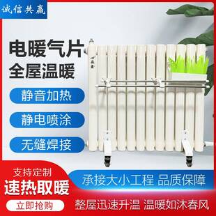 电暖气厂家家庭办公室静音取暖器注水式钢二柱暖气片