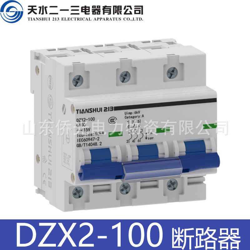 天水二一三TIANSHUI213小型断路器DZX2-1002P80A3PC100A空气开关