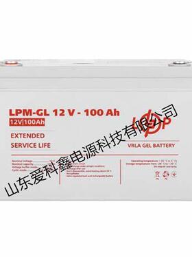 Logicpower蓄电池 LPM-GL12V-100AH 12V100AH 通信EPS备用电池