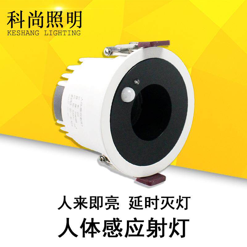 Встроенный индукционный фонарь