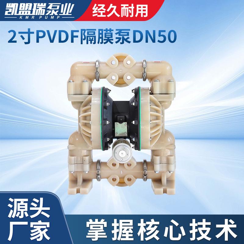 厂家供应BQG50PVDF隔膜泵DN502寸氟塑料隔膜泵白色清漆隔膜泵