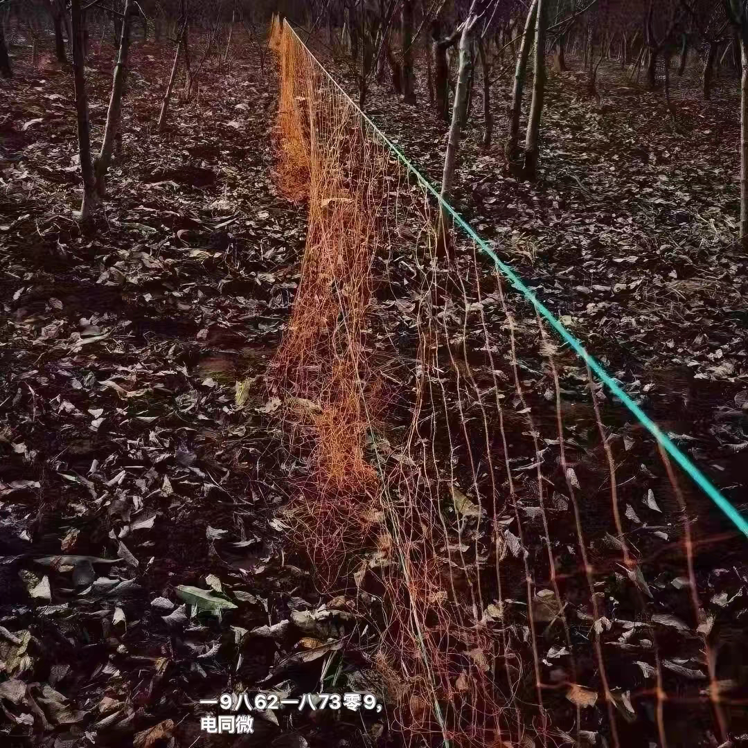 加粗轮胎线防护网尼龙线菜园果园防护围网养殖用防护网片