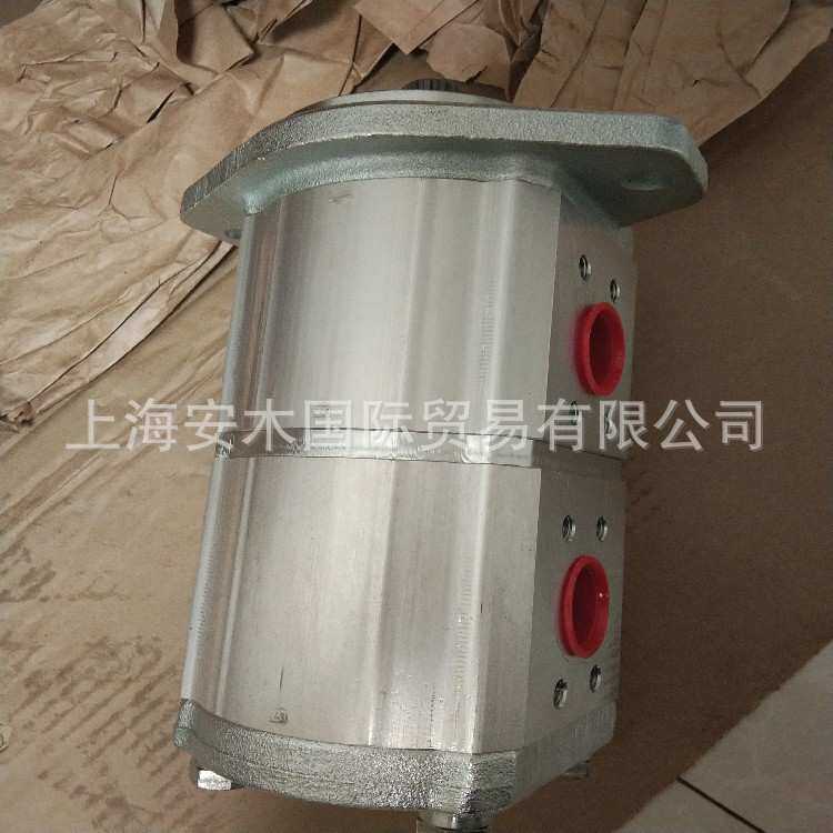 CONCENTRIC齿轮水泵WP09A1B080L03BA150N