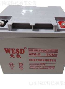 WESD蓄电池WD200-12/150/120/100/65/38/24/17/7 无敌12V蓄电池