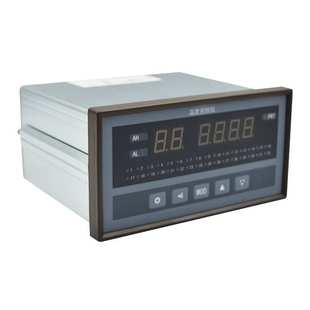 RS232通讯 多通道 220供电 D208RM2V0多路温度巡检仪 XSL