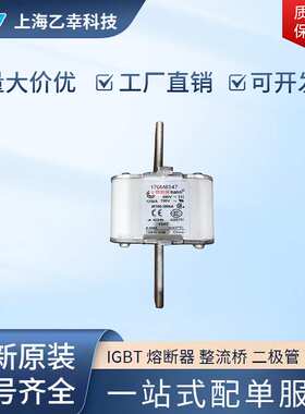 巴斯曼熔断器  170M8613 170M8614 170M8615 170M8616 170M8617