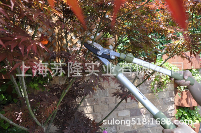 园艺工具绿化修枯高粗绿篱树枝剪沃施1223伸缩高枝剪