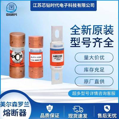 TRS1/10R TRS1/8R TRS15/100R TRS2/10R 美尔森Ferraz罗兰熔断器