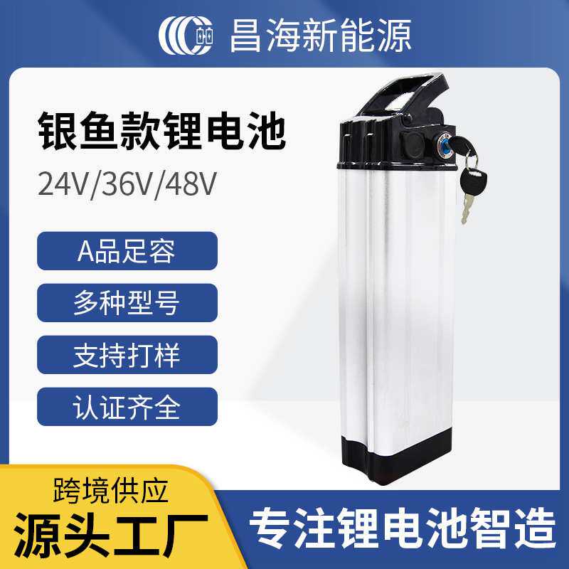 36V银鱼款电动自行车48V15AH代驾折叠电瓶车外贸跨境锂电锂电池