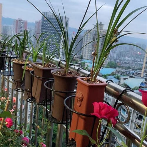 兰花专用花架阳台栏杆花架u加粗兰草盆挂架悬挂式绿萝吊兰加高挂