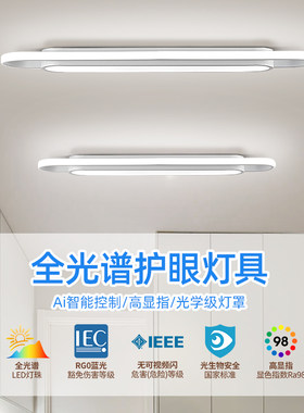 新款过道灯e走廊长条灯吸顶灯入户玄关阳台灯网红衣帽间长方形灯