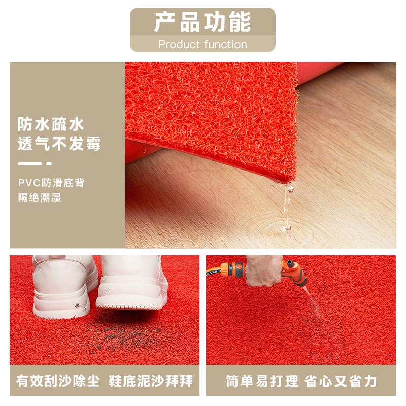 丝圈地毯PVC塑料地垫商用迎宾酒店进门垫卫生间吸尘防滑垫大面积