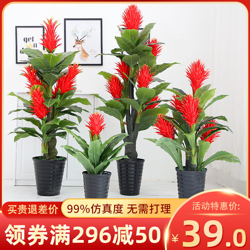 假花鸿运当头摆件仿真植物装饰y盆景塑料绿植大盆栽室内客厅花落