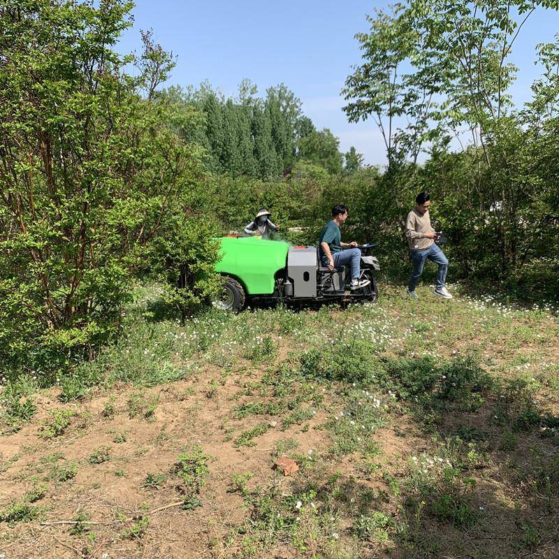 乘坐式街道树木除虫喷雾机果园风送式弥雾机三轮驾乘式果树打药