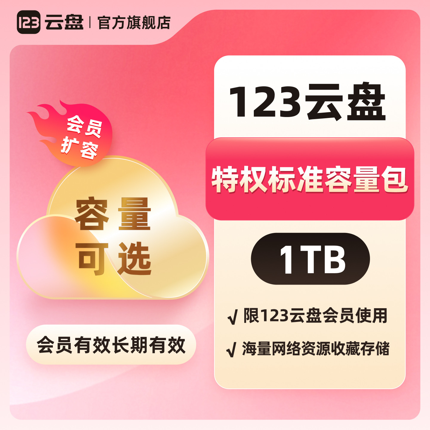 123云盘特权标准容量包1TB-100TB限123云盘会员扩容网络存储