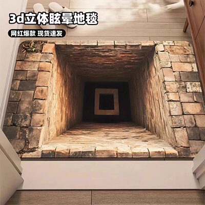 3d立体视觉深渊地毯矽藻泥吸水速干陷阱错觉图案入户门口地垫防滑