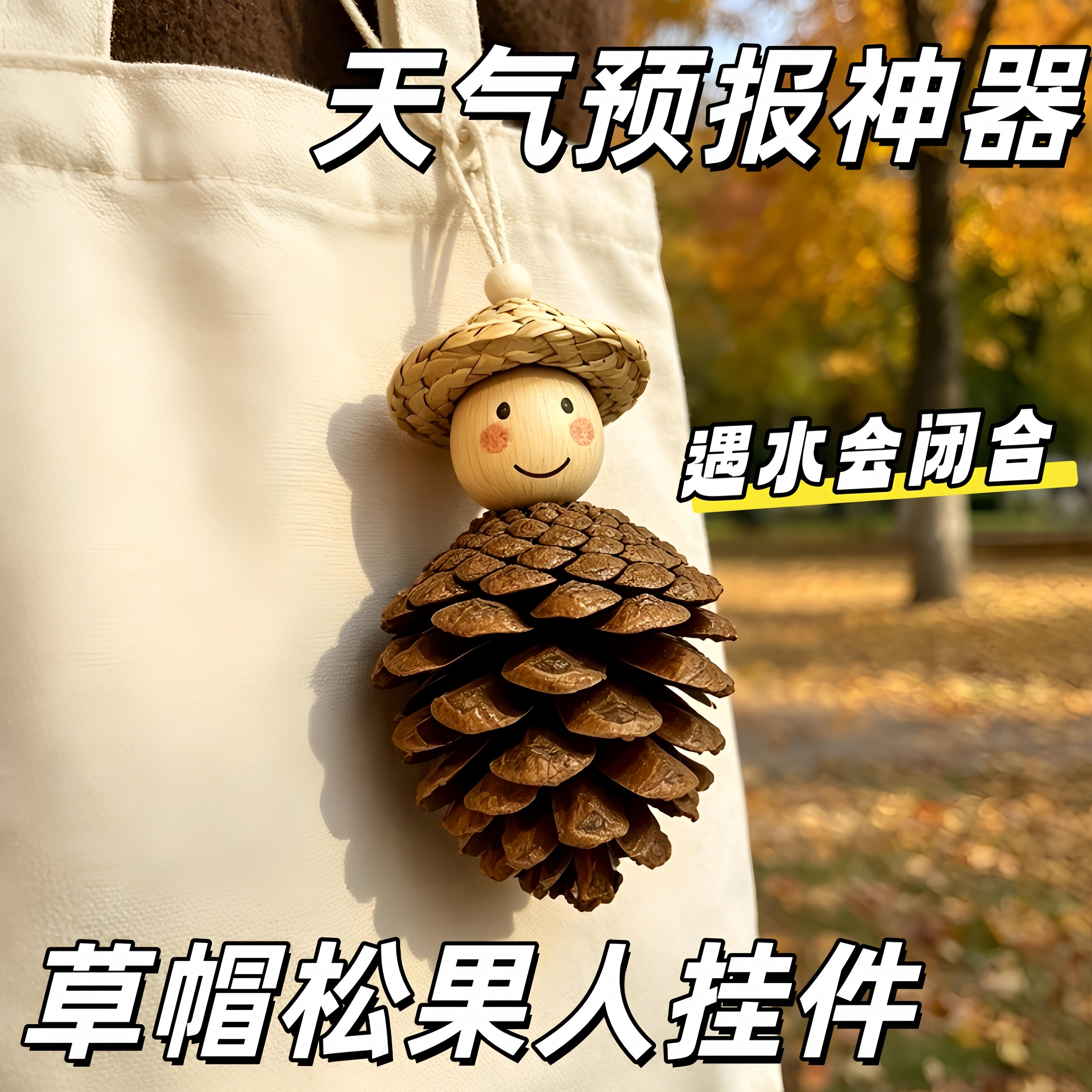 【天气预报神器】草帽松