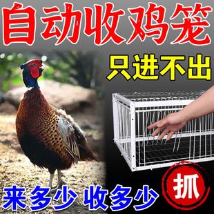 抓i捕i收鸡陷阱新型多功能专用网门套笼户室外神器只进不出全自动