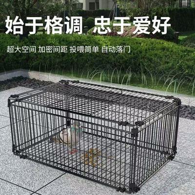 鸽子神器笼天落笼只进不出活络门回收笼室户外专用防逃设计鸽子笼