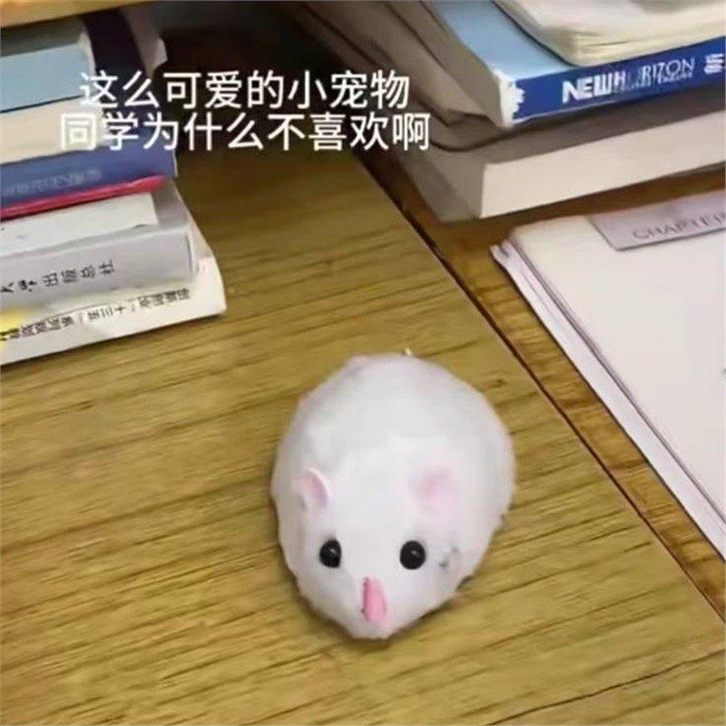 遥控老鼠玩具逗猫神器真动物搞笑整蛊吓人智能电动无线操作玩偶