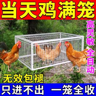 野外捉鸡神器诱补全自动加密捕只进不出捉鸽鸭鹅养殖场通用天落笼