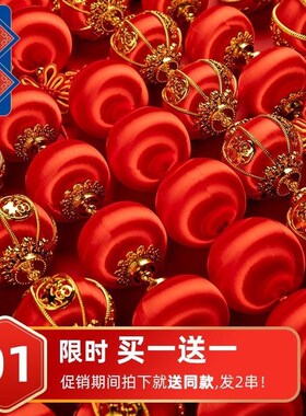 灯笼新款2025喜庆过新年春节装B饰用品乔迁之喜红色小灯笼连串挂