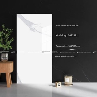 6303 6301 6305 62247 62099 冠珠瓷砖 62248 亮面厨卫阳台62m239