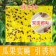 针张板20蝇诱双面胶粘板蝇粘 蚊胶蝇果黄实农庄实蜂果蝇桔宝小 包邮