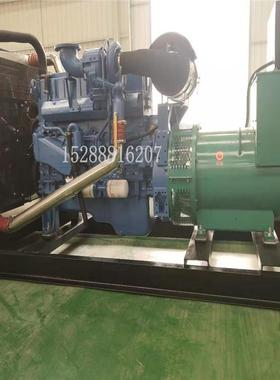 潍坊柴油发电机组 玉柴上海系列1000kw 集装箱式 无刷静音发电机